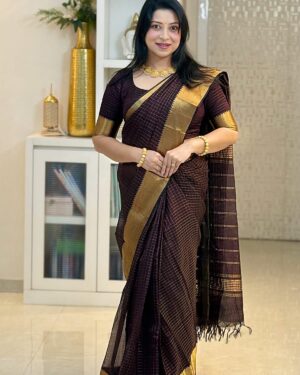 Pure Banarasi Semi Katan Silk Saree With Blouse